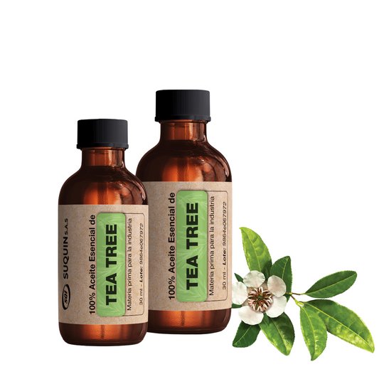 Aceite esencial de árbol de té